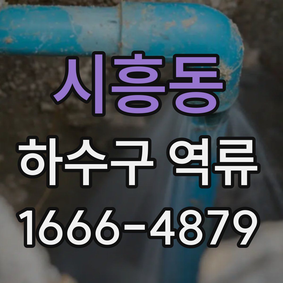 시흥동 하수구 역류
