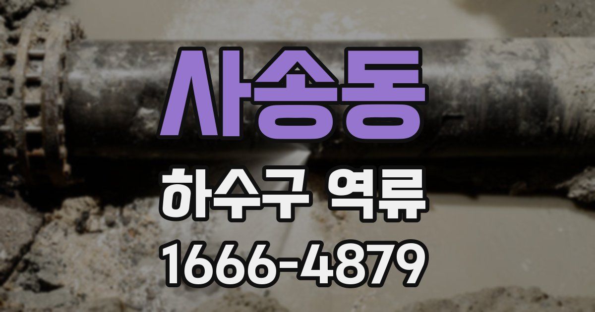 사송동 하수구 역류