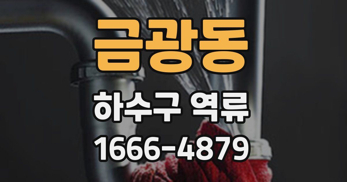 금광동 하수구 역류