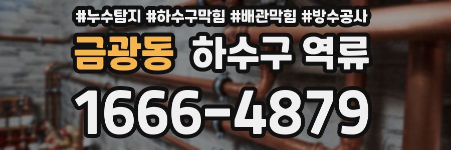 금광동 하수구 역류