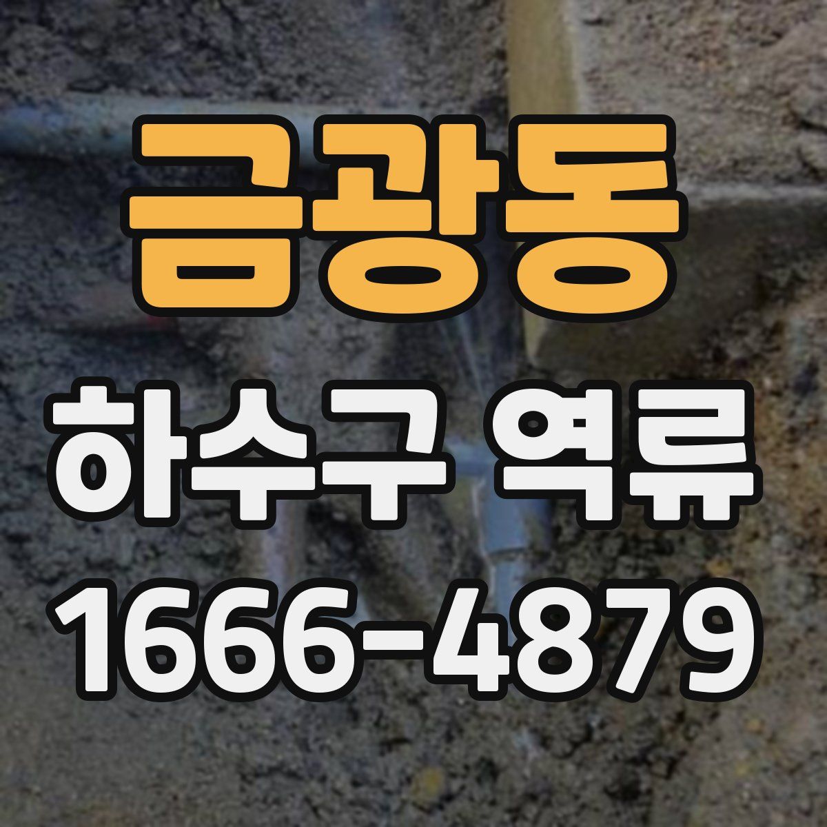 금광동 하수구 역류