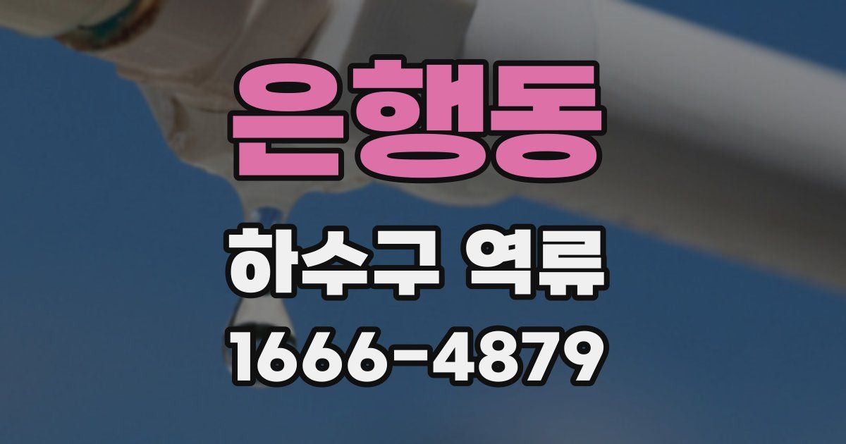 은행동 하수구 역류