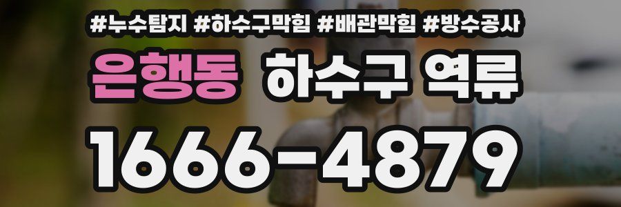 은행동 하수구 역류