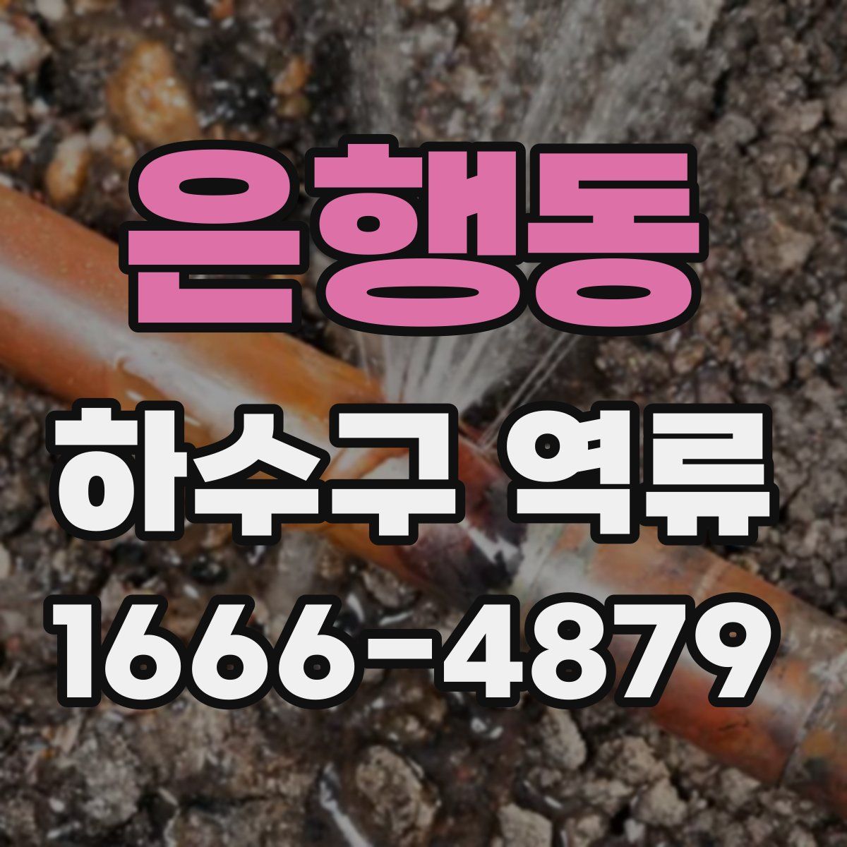 은행동 하수구 역류