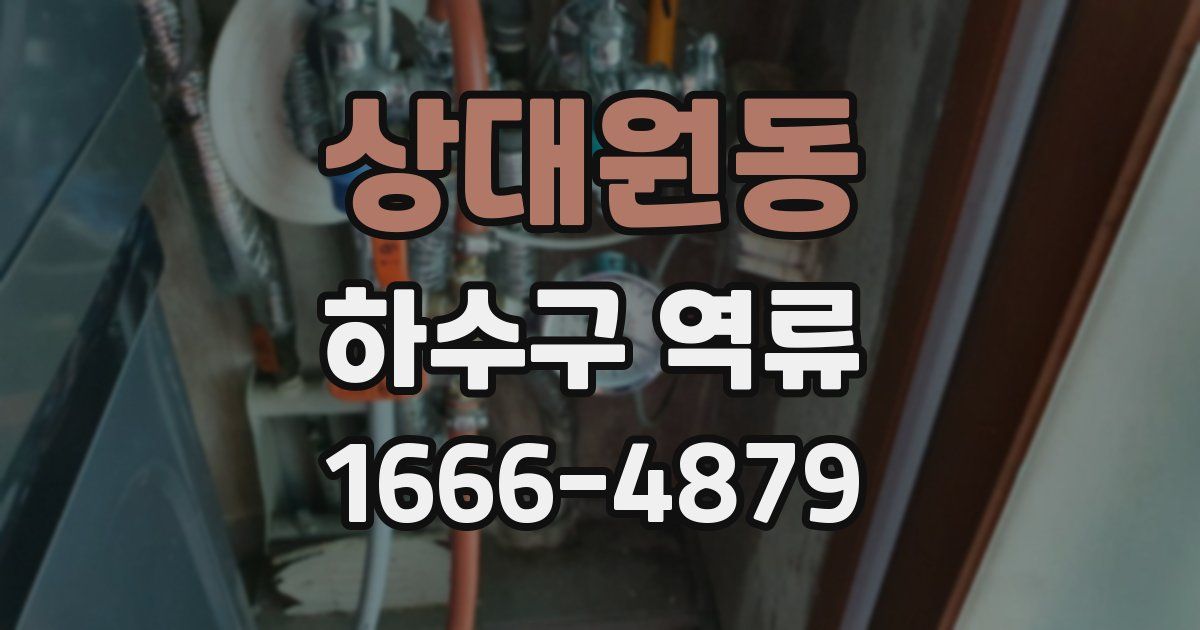 상대원동 하수구 역류