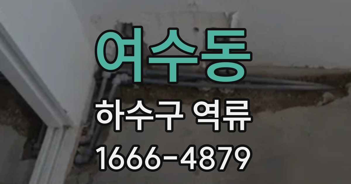 여수동 하수구 역류