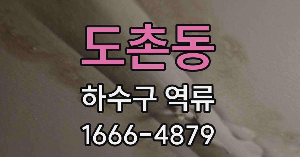 도촌동 하수구 역류