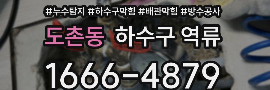 도촌동 하수구 역류