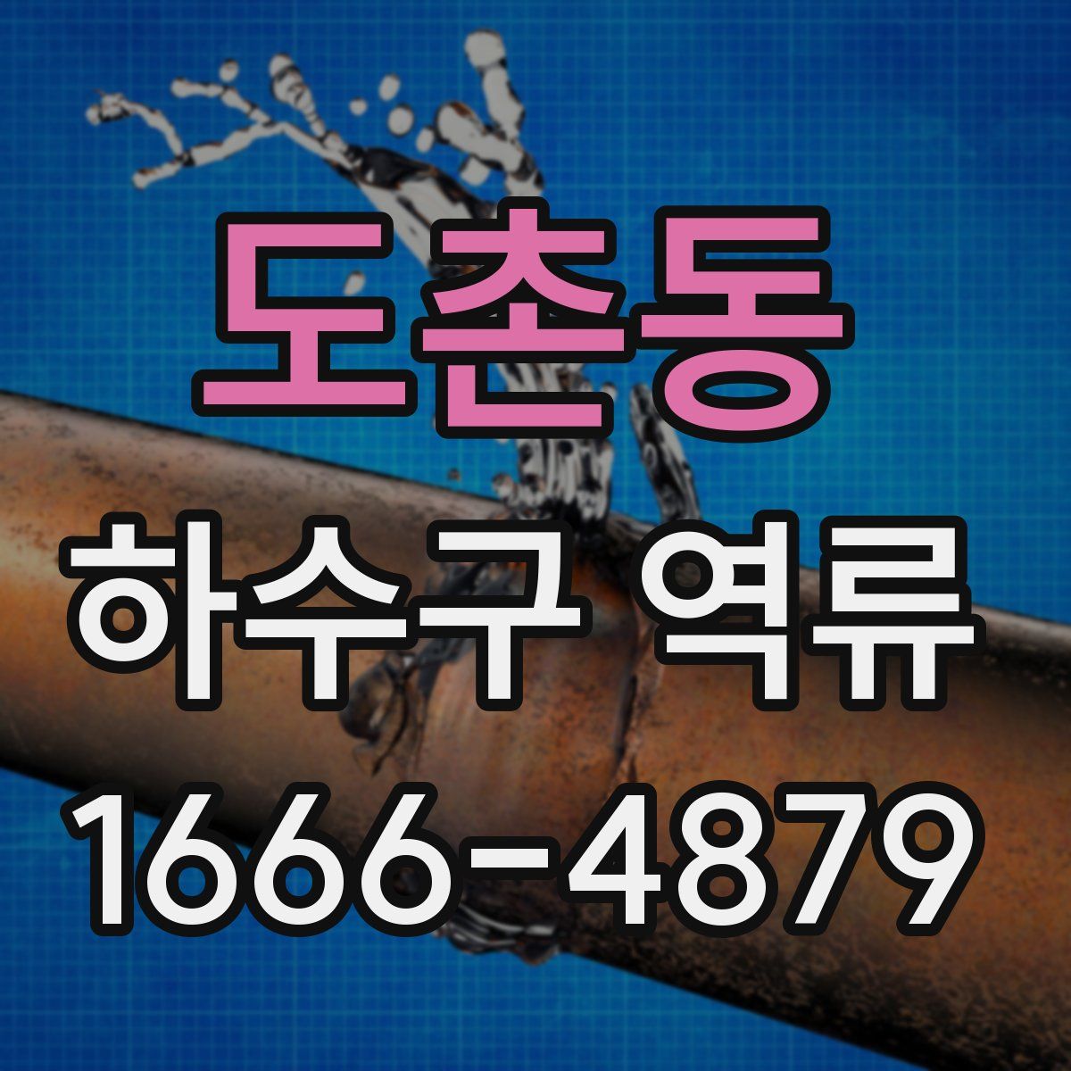 도촌동 하수구 역류
