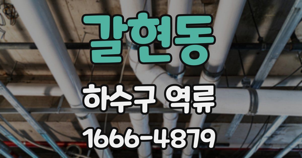 갈현동 하수구 역류