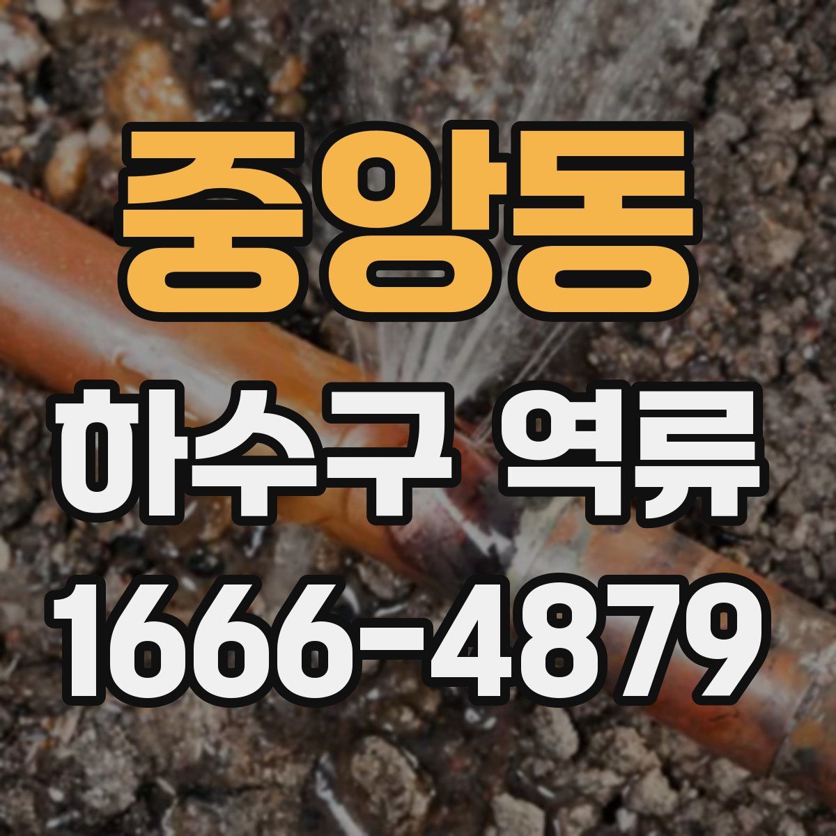 중앙동 하수구 역류