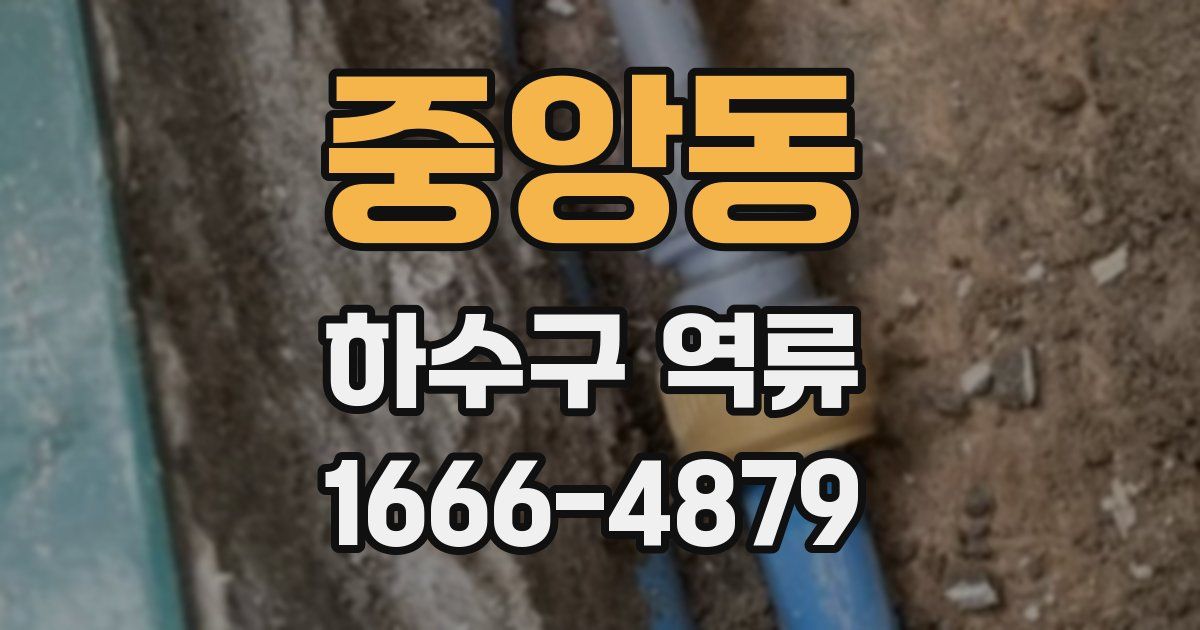 중앙동 하수구 역류