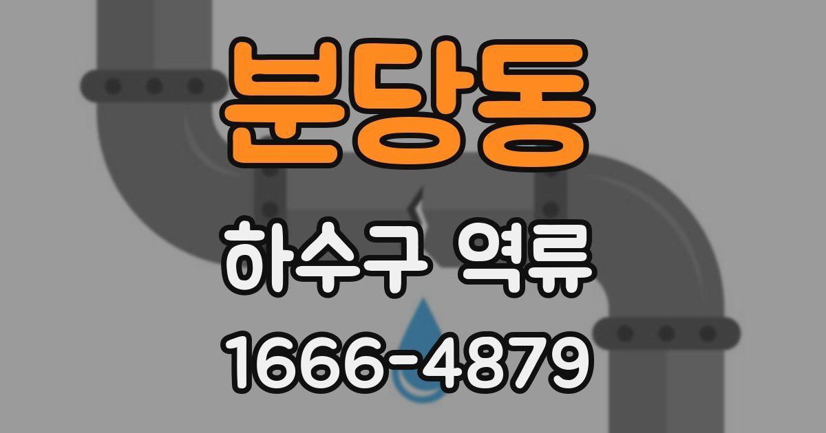 분당동 하수구 역류