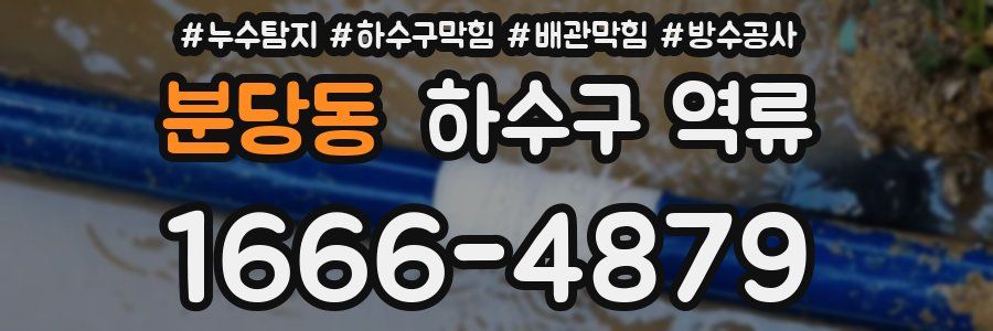 분당동 하수구 역류