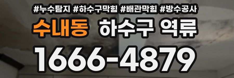 수내동 하수구 역류