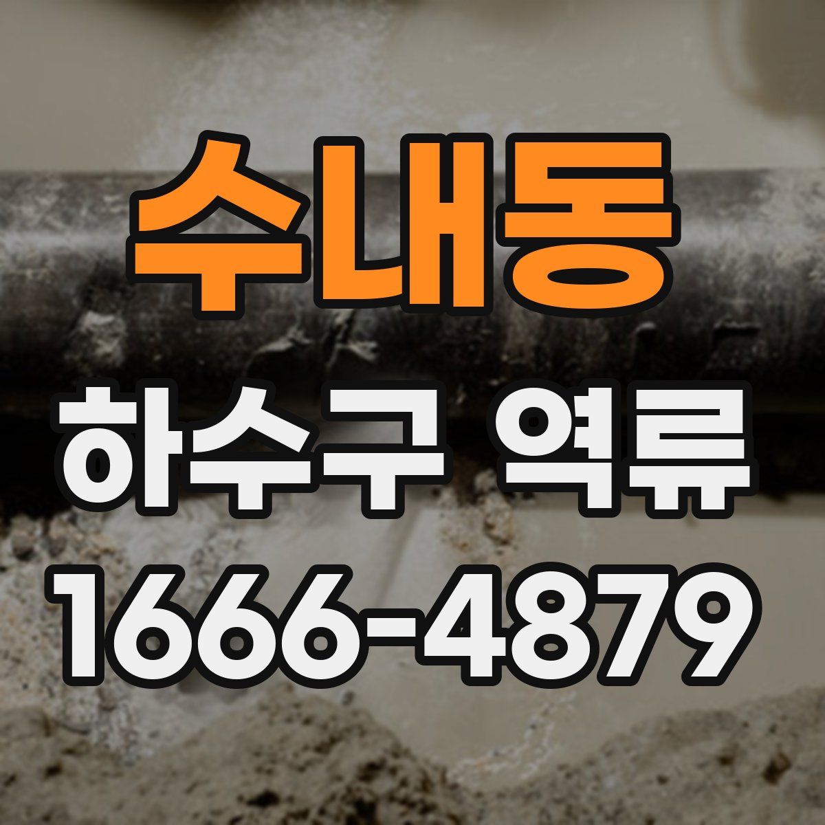 수내동 하수구 역류