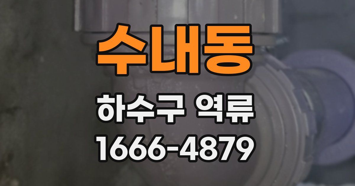 수내동 하수구 역류