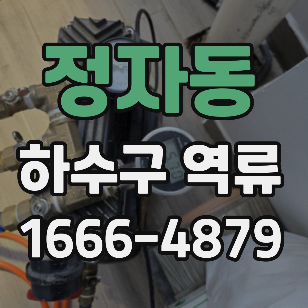 정자동 하수구 역류