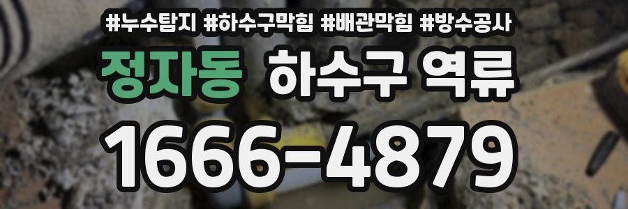 정자동 하수구 역류