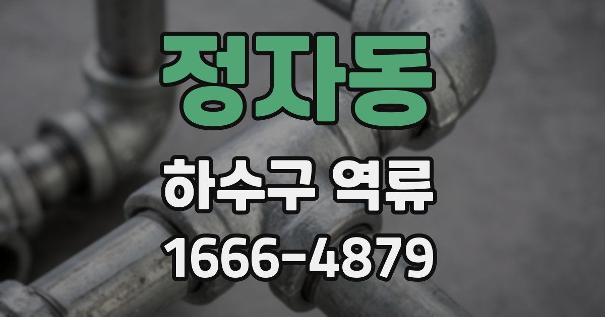 정자동 하수구 역류