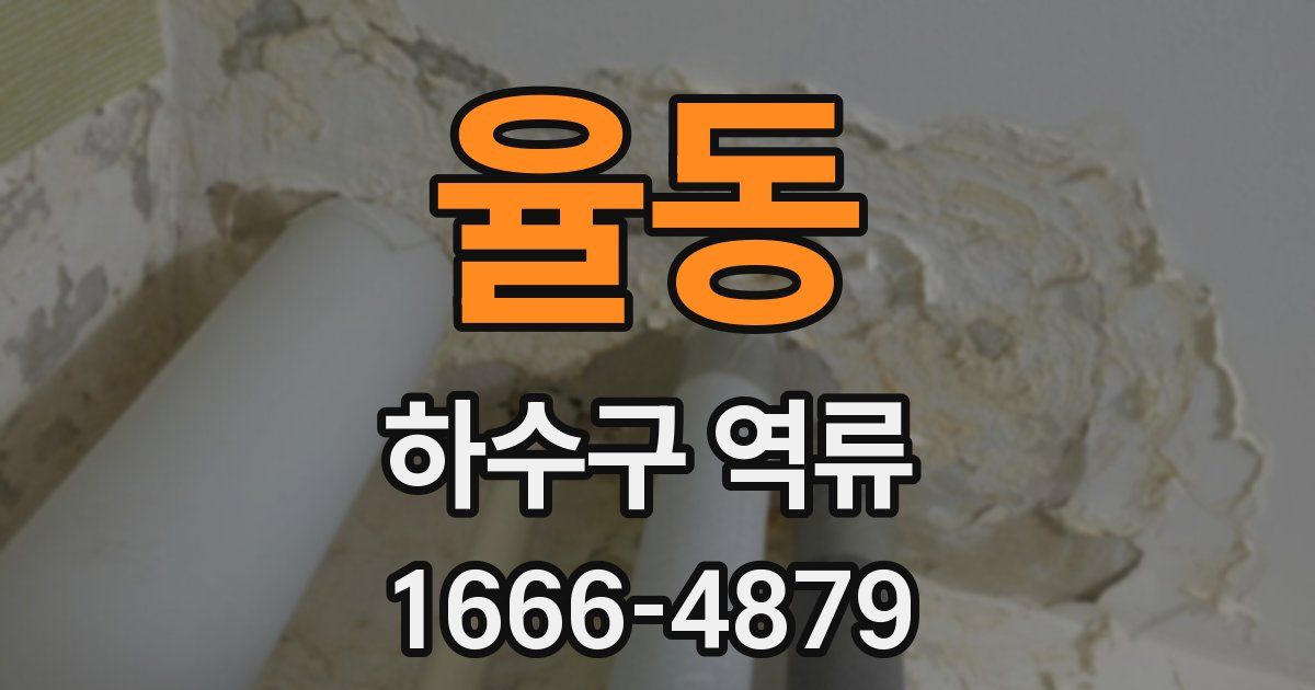 율동 하수구 역류