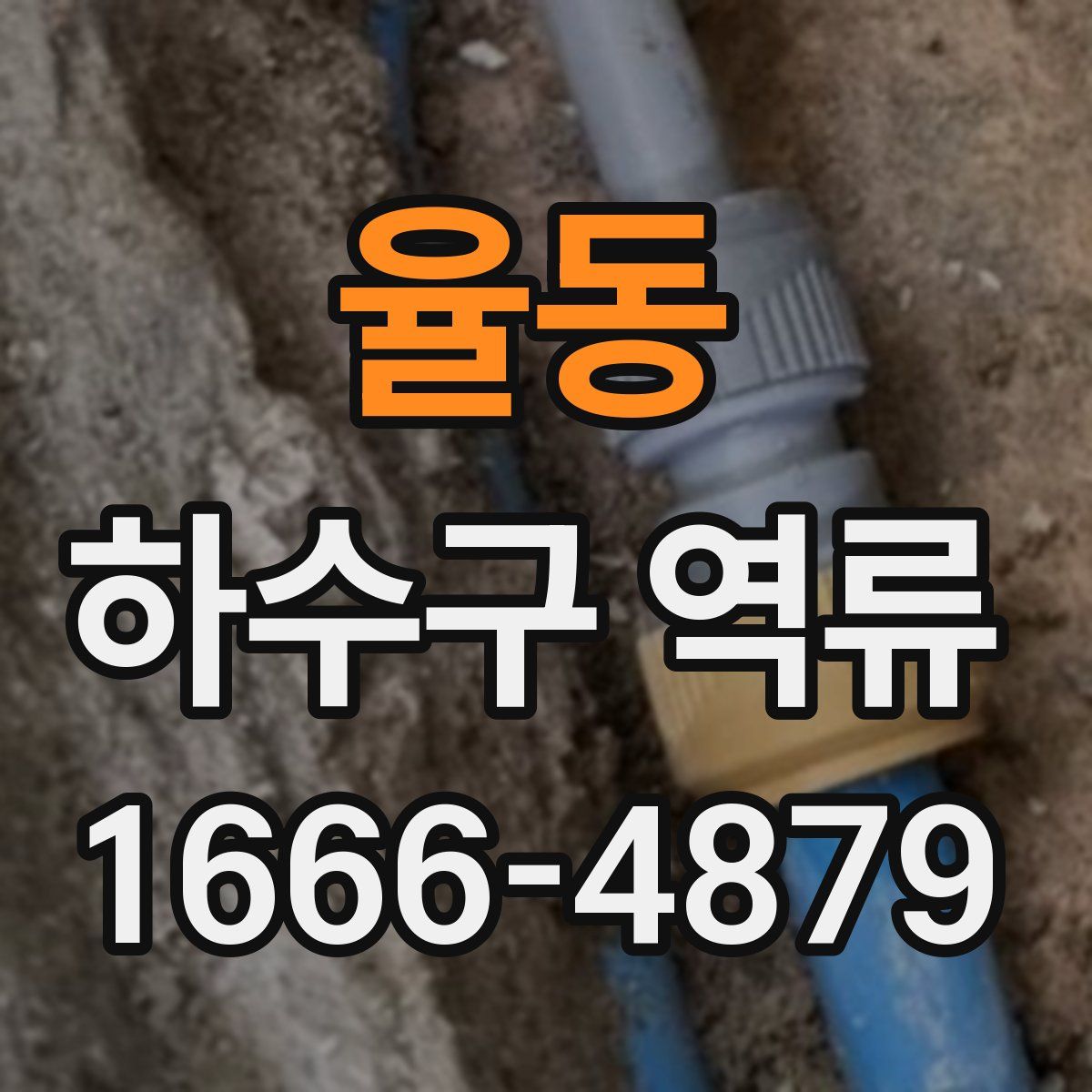 율동 하수구 역류