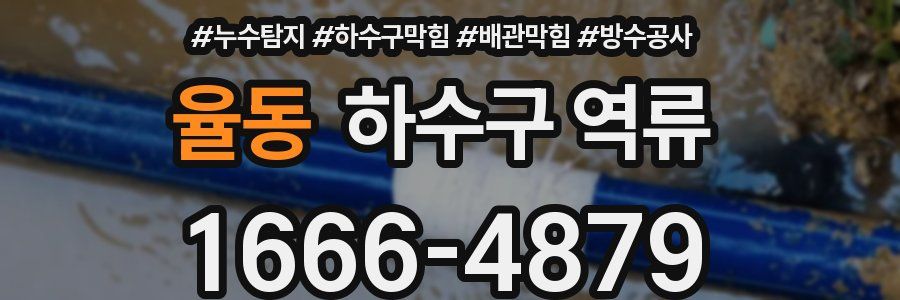 율동 하수구 역류