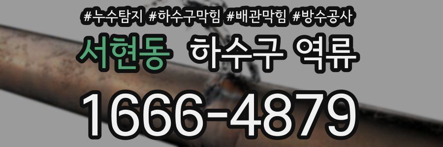 서현동 하수구 역류