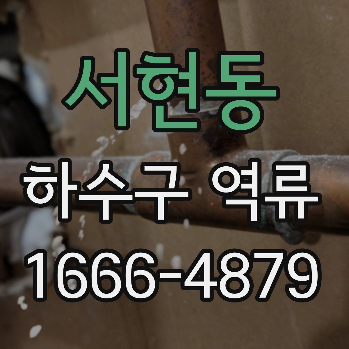 서현동 하수구 역류