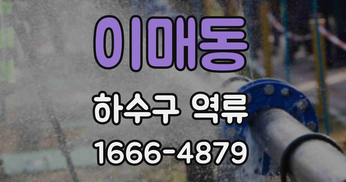 이매동 하수구 역류