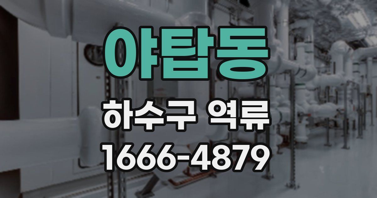 야탑동 하수구 역류
