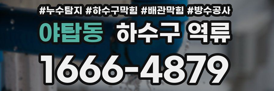 야탑동 하수구 역류