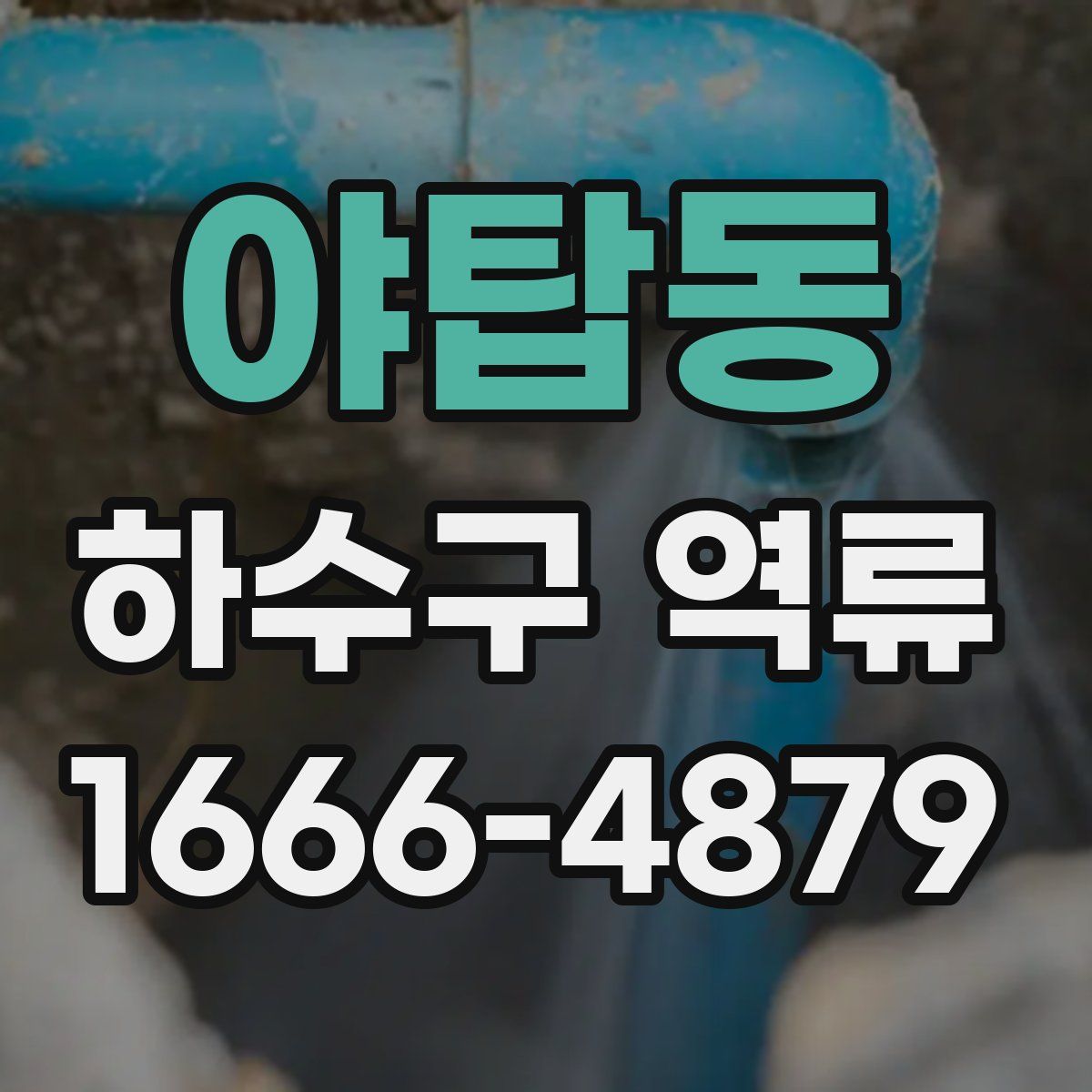 야탑동 하수구 역류