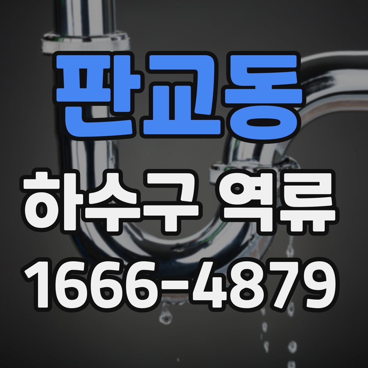 판교동 하수구 역류