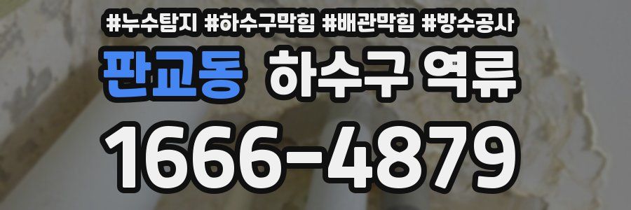 판교동 하수구 역류