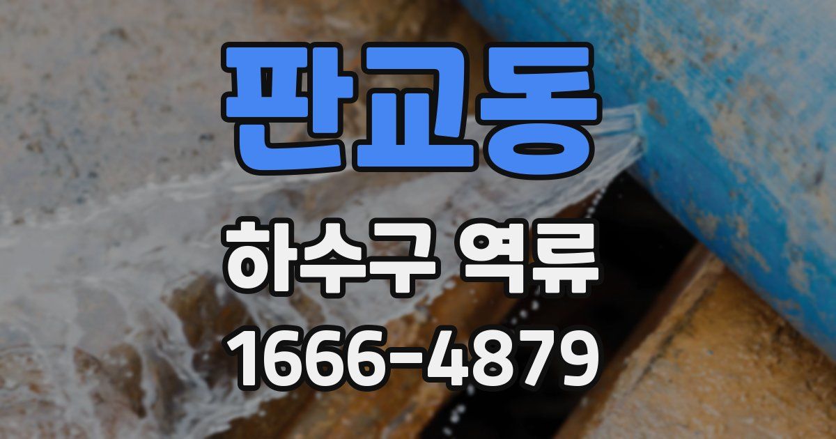 판교동 하수구 역류