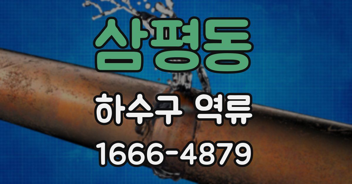 삼평동 하수구 역류
