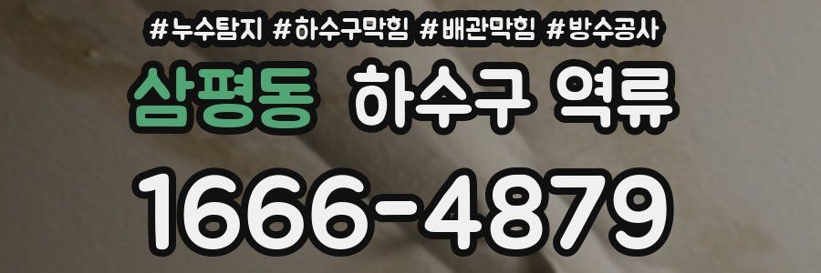 삼평동 하수구 역류