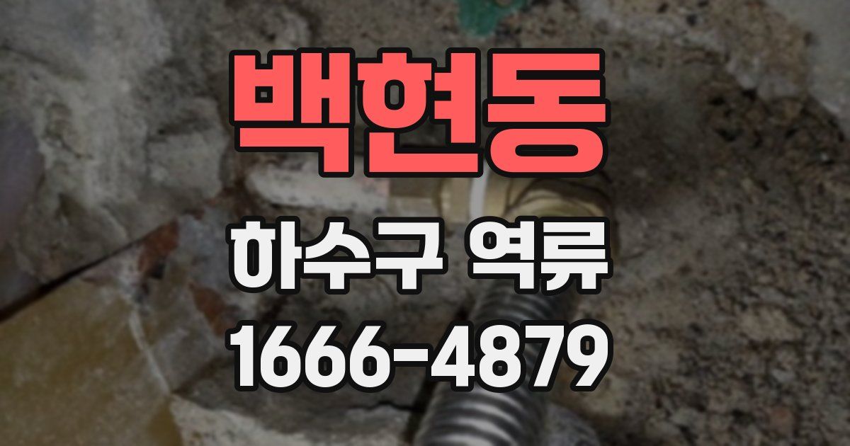 백현동 하수구 역류