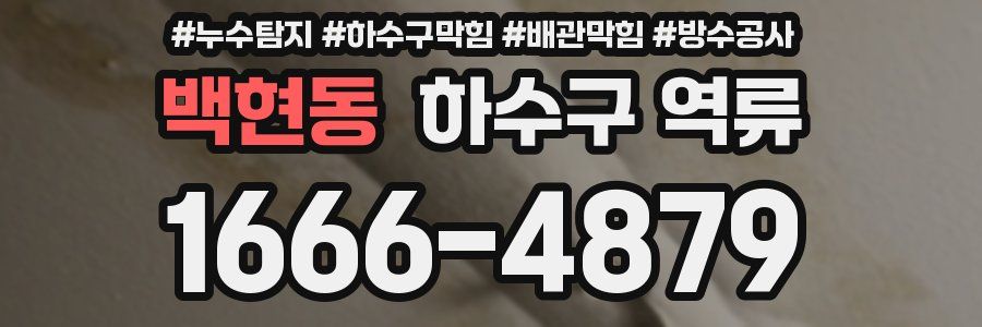 백현동 하수구 역류