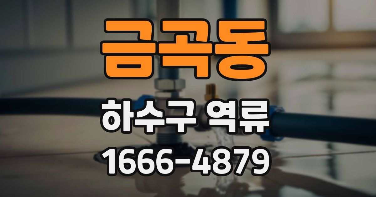 금곡동 하수구 역류