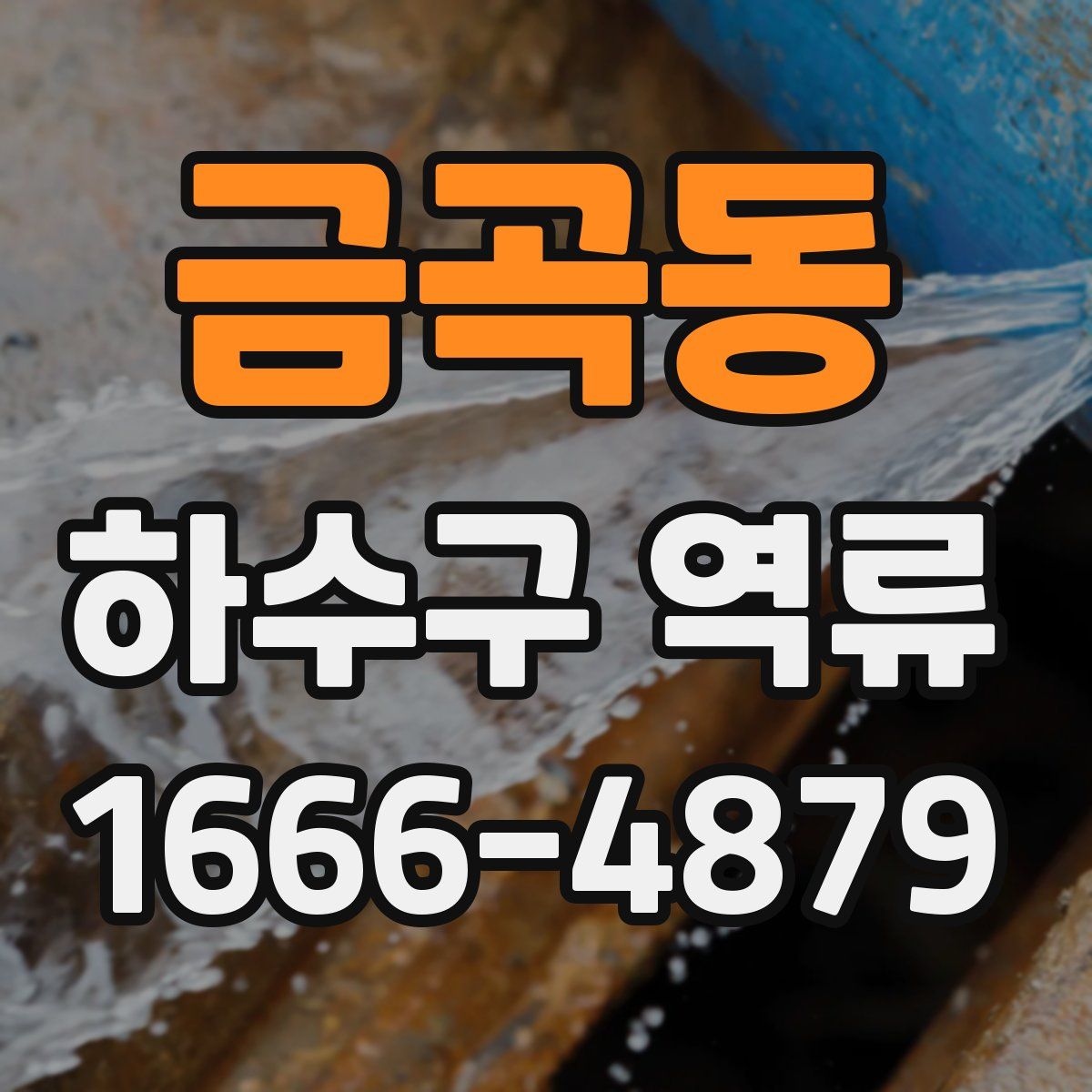 금곡동 하수구 역류