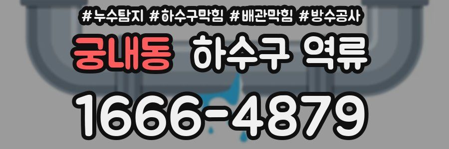 궁내동 하수구 역류