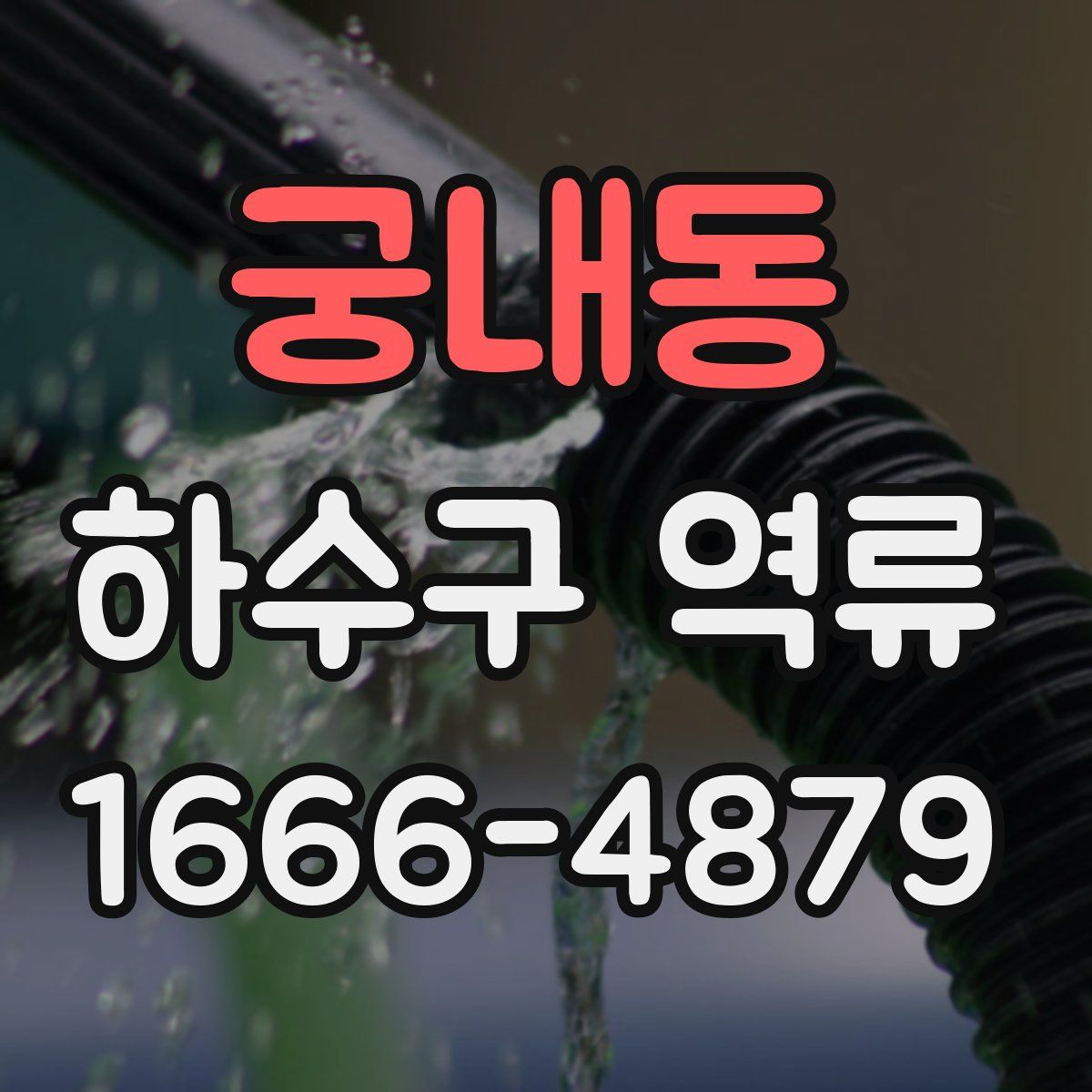 궁내동 하수구 역류