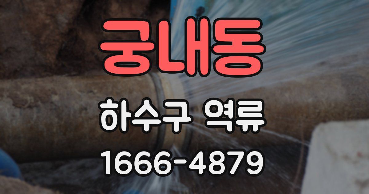 궁내동 하수구 역류