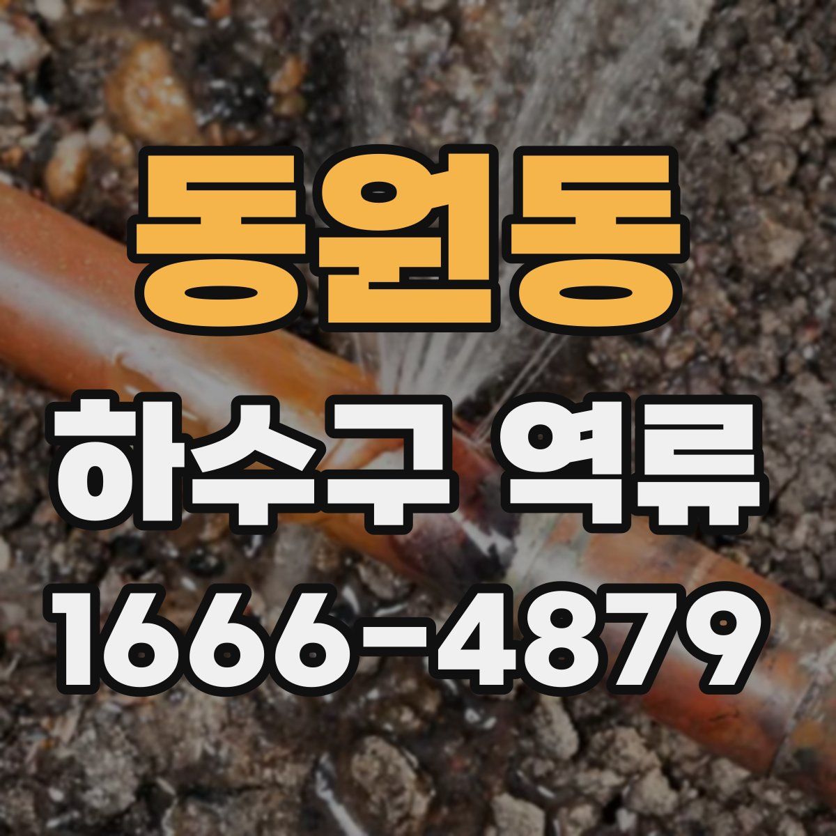 동원동 하수구 역류