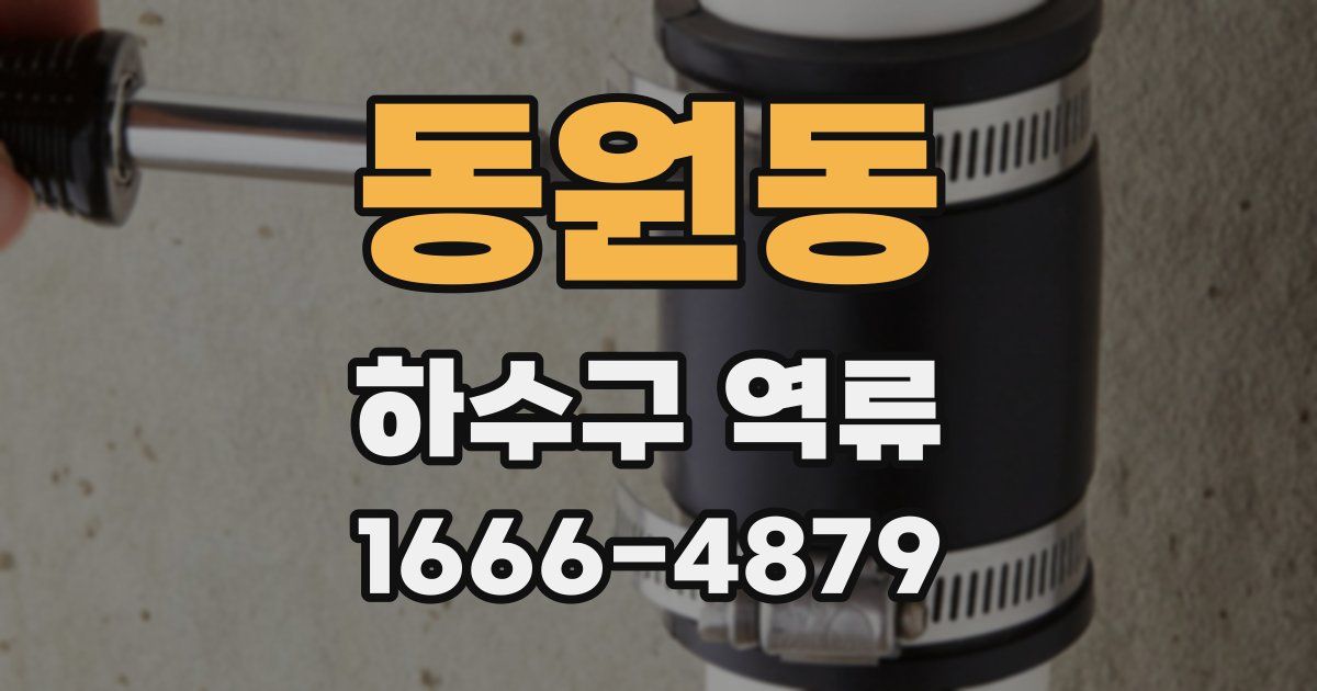 동원동 하수구 역류