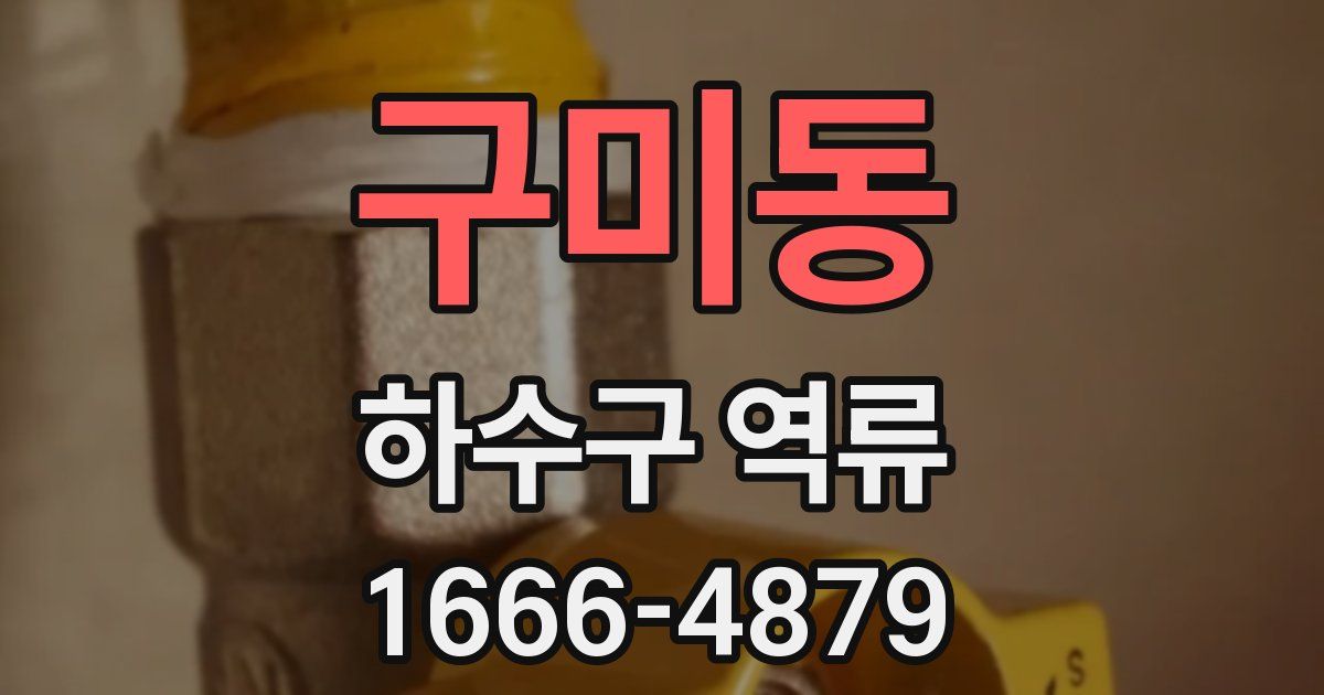구미동 하수구 역류