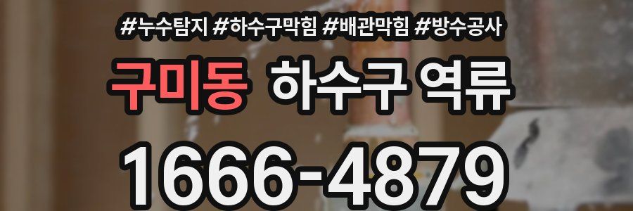 구미동 하수구 역류