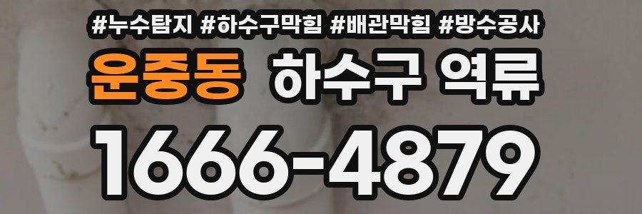 운중동 하수구 역류